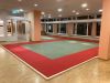 Neues-Dojo-Fudschisan
